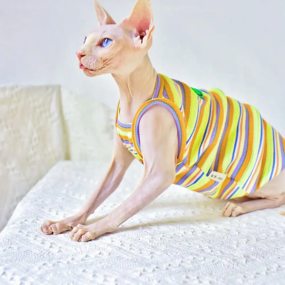 Designer Kitten Clothes  Classic LV T-shirt for Sphynx Cat