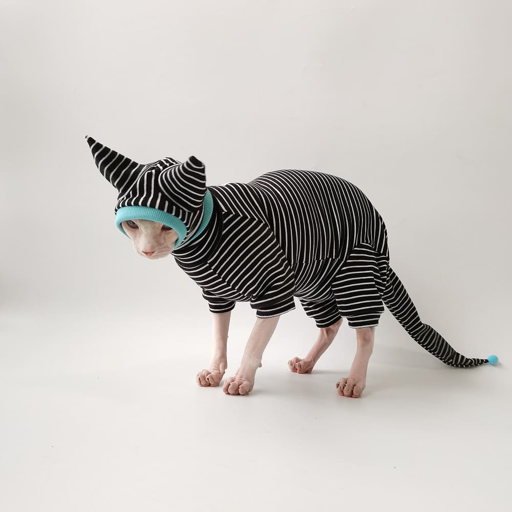 Striped Cat Sweater Striped Cat Clothes Sphynx Sweater 