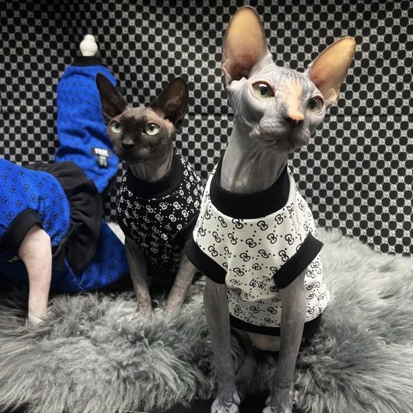 Cat clothes for sphinx hairless cat clothes striped clothing warm knitted  shirt pet clothes cat supplier xs to xl