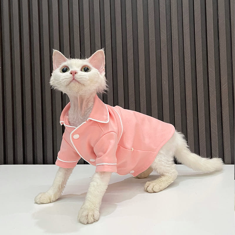 female cat clothes