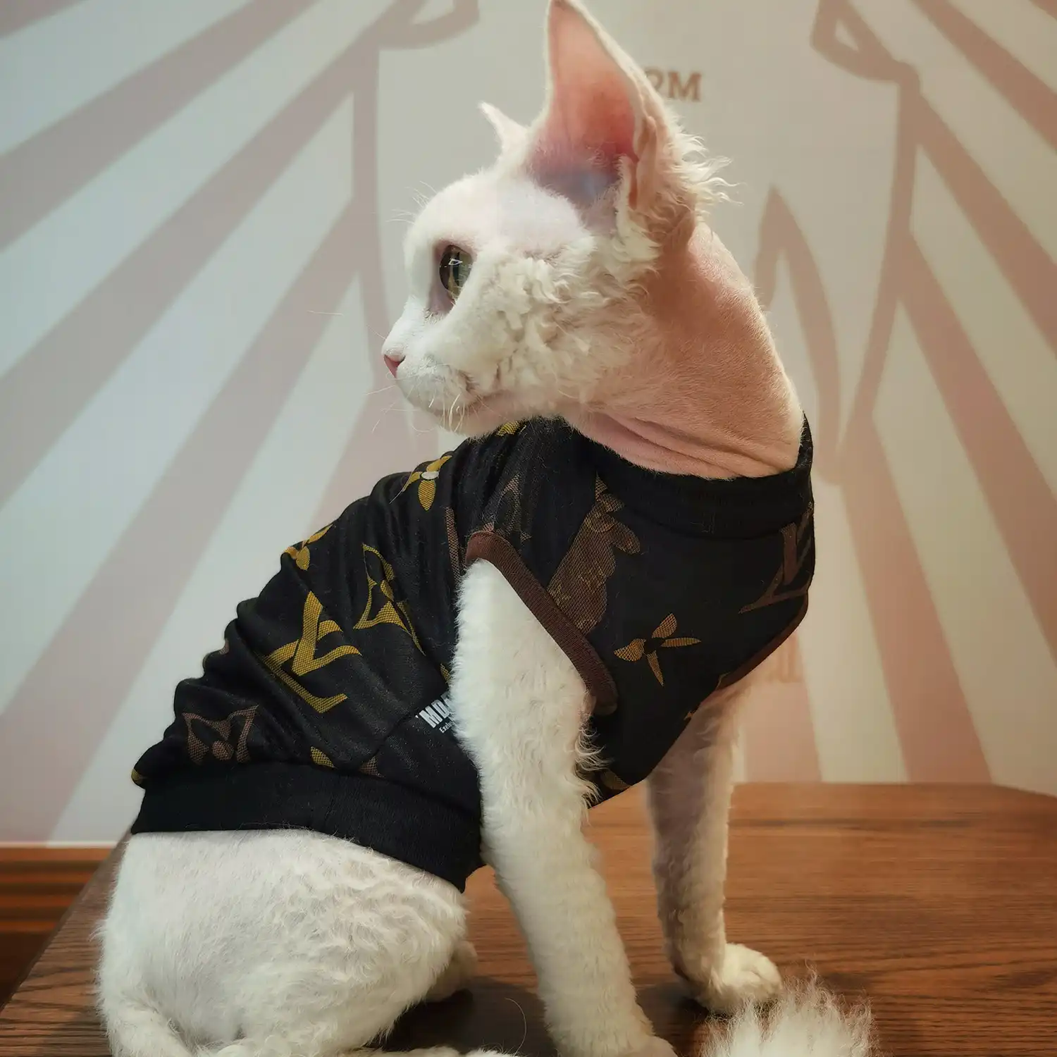 Cat T Shirts for Cats  Louis Vuitton Cat Clothes, Cat Designer Shirt