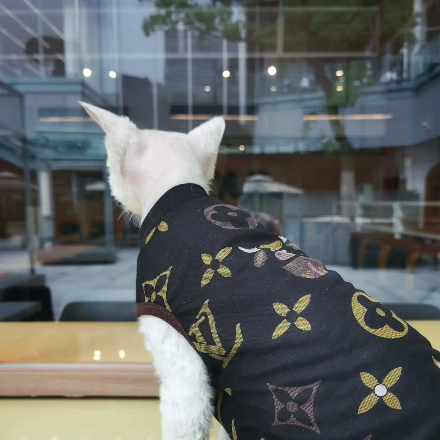Louis Vuitton Dog coat  LV dog jacket, Supreme dog designer