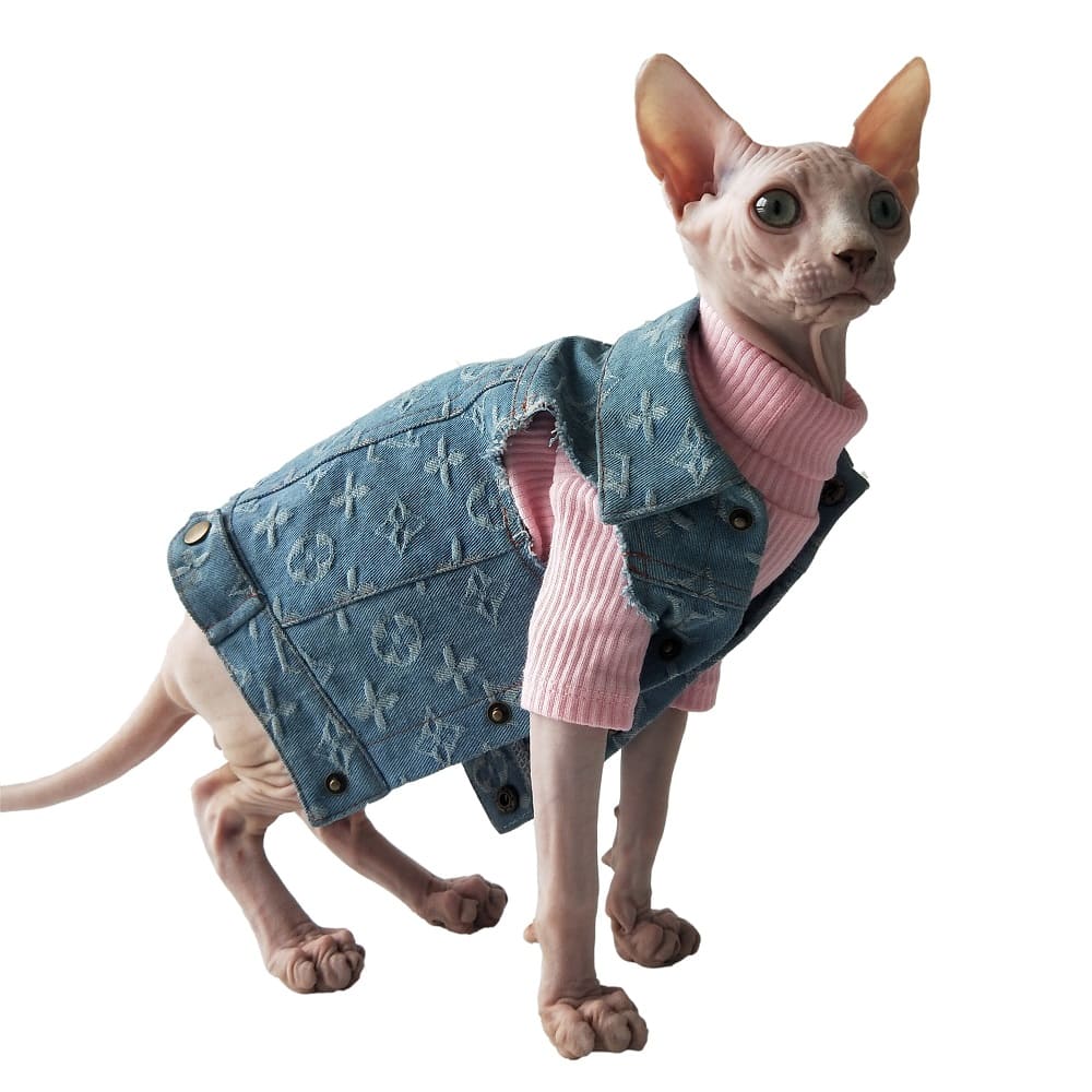 Coat for Cats, Louis Vuitton Cat Jacket, Louis Vuitton Cat Coat ?