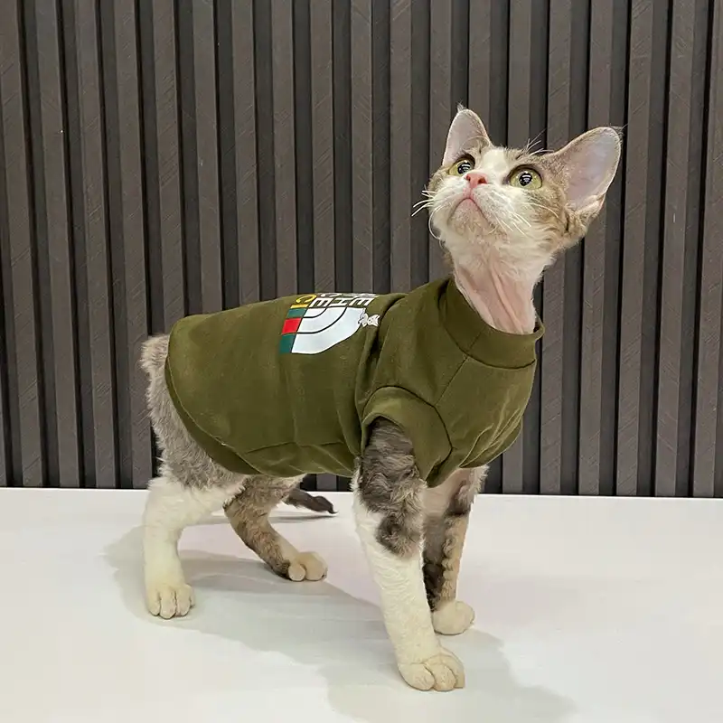 Designer T-shirt for Cat  The North Face T-shirt for Sphynx