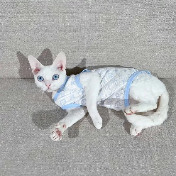  Sphynx Cat Clothes Breathable Pure Cotton Fashion Icon
