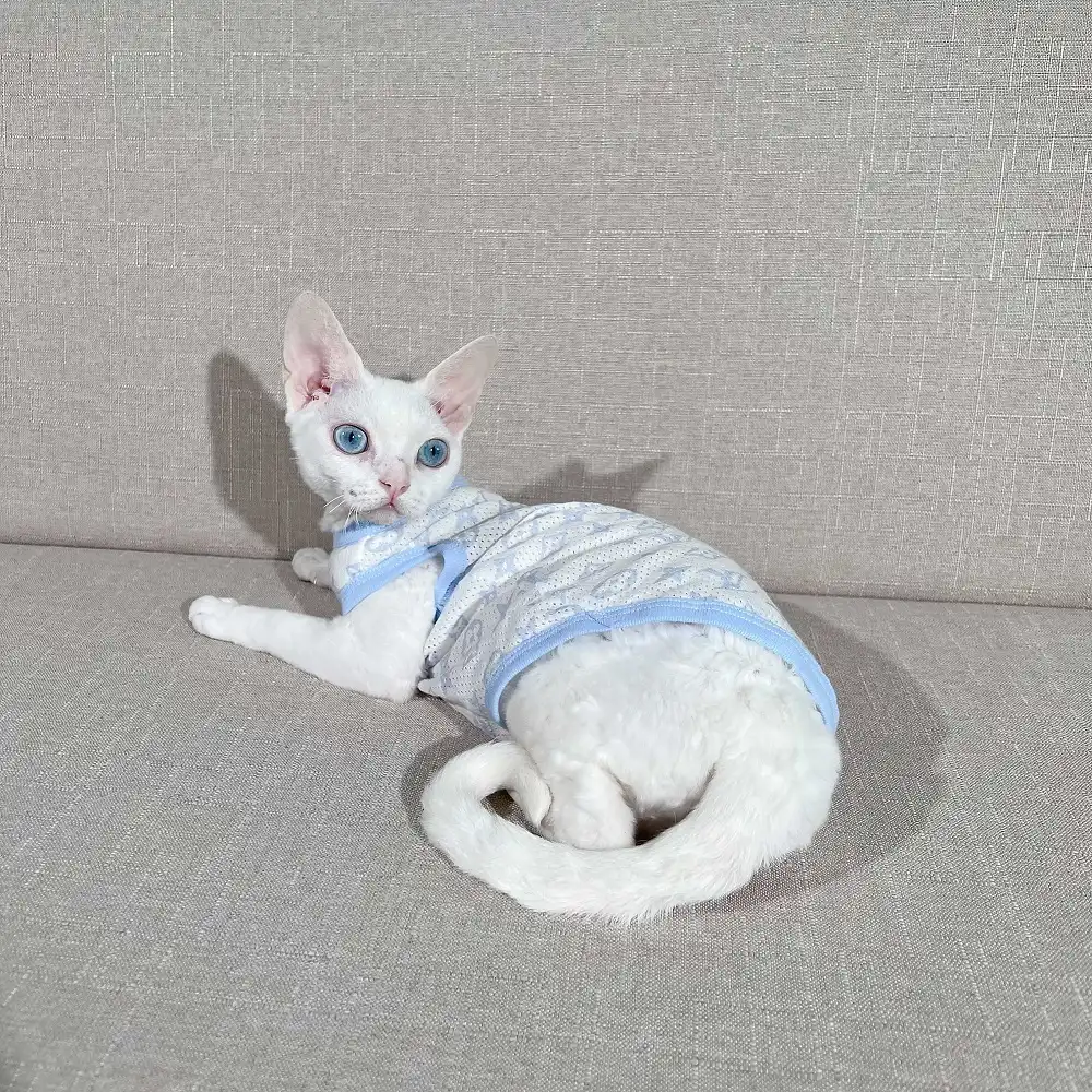 Sphynx Clothing  LV Jumper for Cat, Sphynx Cat Outfits, Blue, Grey, Pink