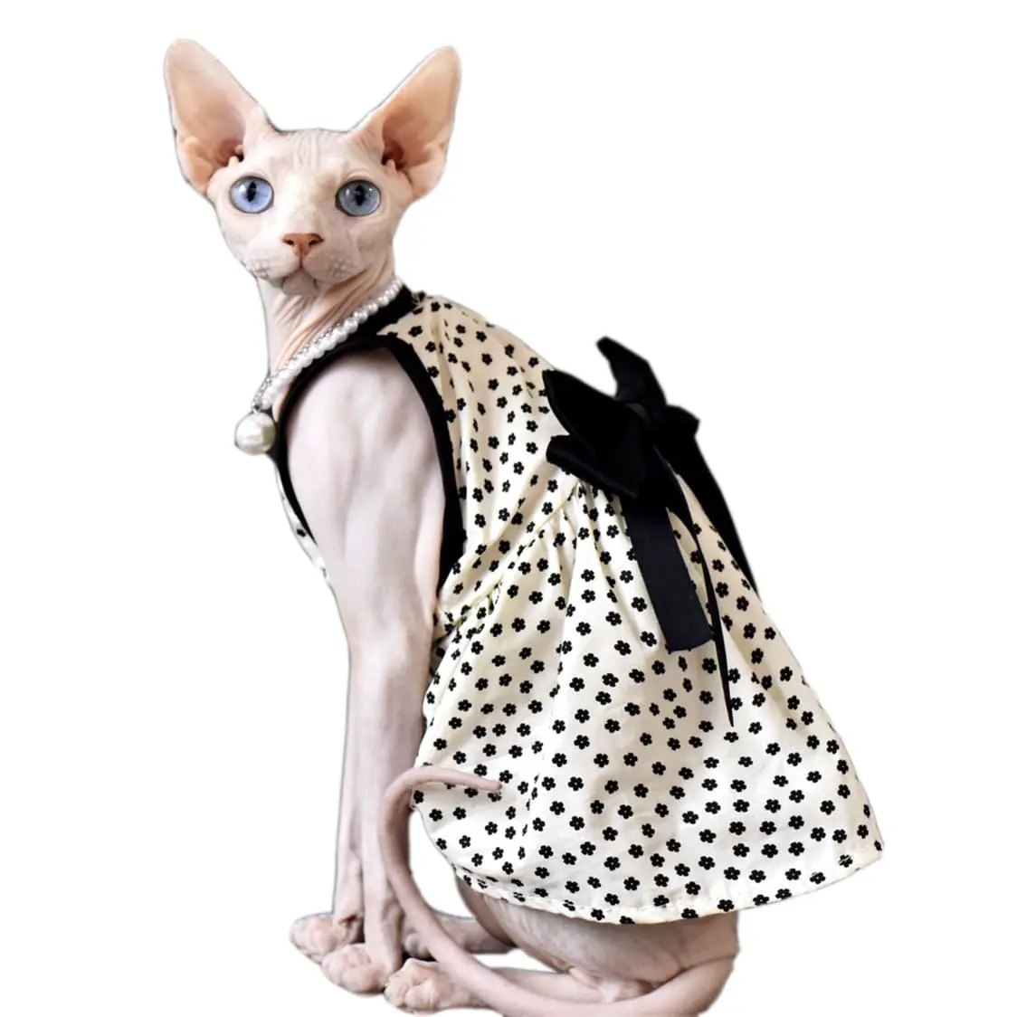 Sphynx Cat Clothes Girl  Black Bow Dress for Sphynx Hairless Cat