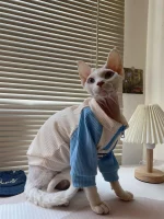 Chanel Zipper Shirt for Cat