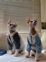 Chanel Zipper Shirt for Cat