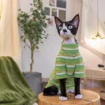 Vintage Stripes Shirt for Cats - Light green