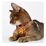 Soft PU Leather Cat Leash Harness Set