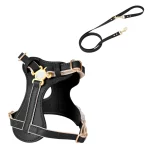 Soft PU Leather Cat Leash Harness Set - Black