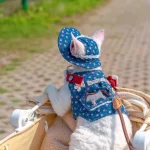 Denim Flora Cat Harness Leash Set