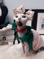 Silk Green Bow Onesie for Cats