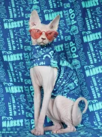 Special Design Blue One-arm Shirt for Cats