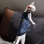 Washed Denim Tank Tops for Cats