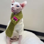 Cute Knit Scarf for Sphynx Cat