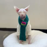 Cute Knit Scarf for Sphynx Cat