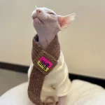 Cute Knit Scarf for Sphynx Cat