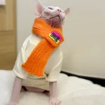 Cute Knit Scarf for Sphynx Cat