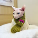 Cute Knit Scarf for Sphynx Cat