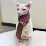 Cute Knit Scarf for Sphynx Cat