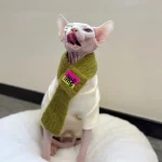 Cute Knit Scarf for Sphynx Cat